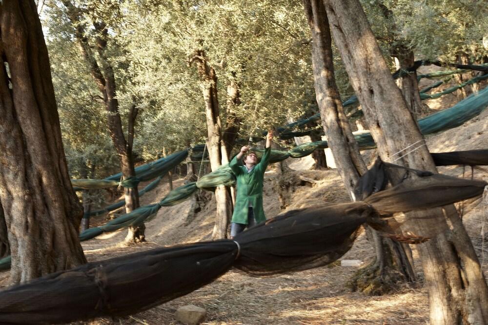 Taverna Del Capitano Marina del Cantone エクステリア 写真