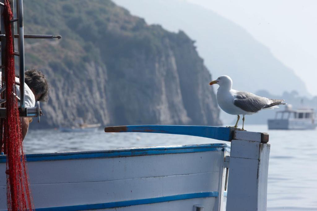 Taverna Del Capitano Marina del Cantone エクステリア 写真